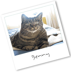 Caroles Pet Sitting Services - Benny